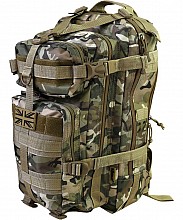 Batoh STEALTH  BTP MULTICAM 25L 296